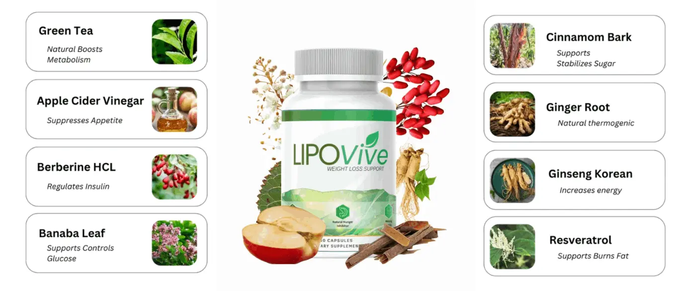 lipovive ingredients